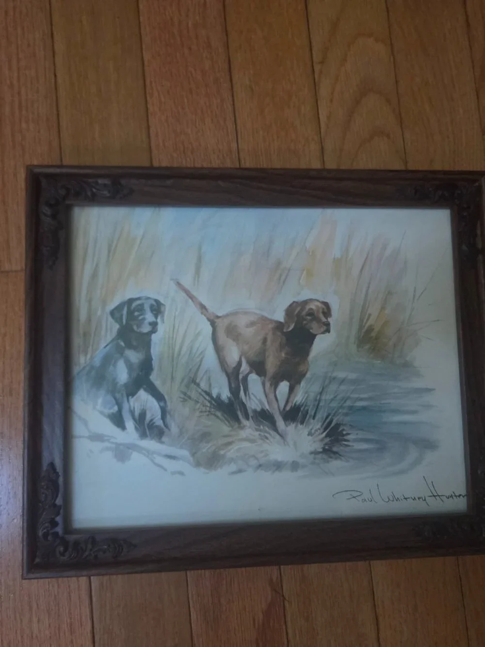 vintage framed watercolor print by artist Paul Whitney Hunter two sporting dogs